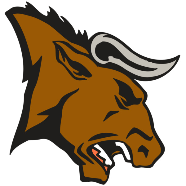 AR BULL 38 RC Thumbnail