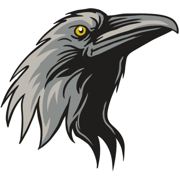 AR31 RAVEN 01 RQC Thumbnail