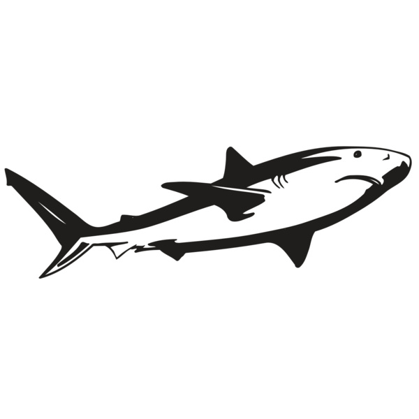 AR5 Shark 15 RQC Thumbnail